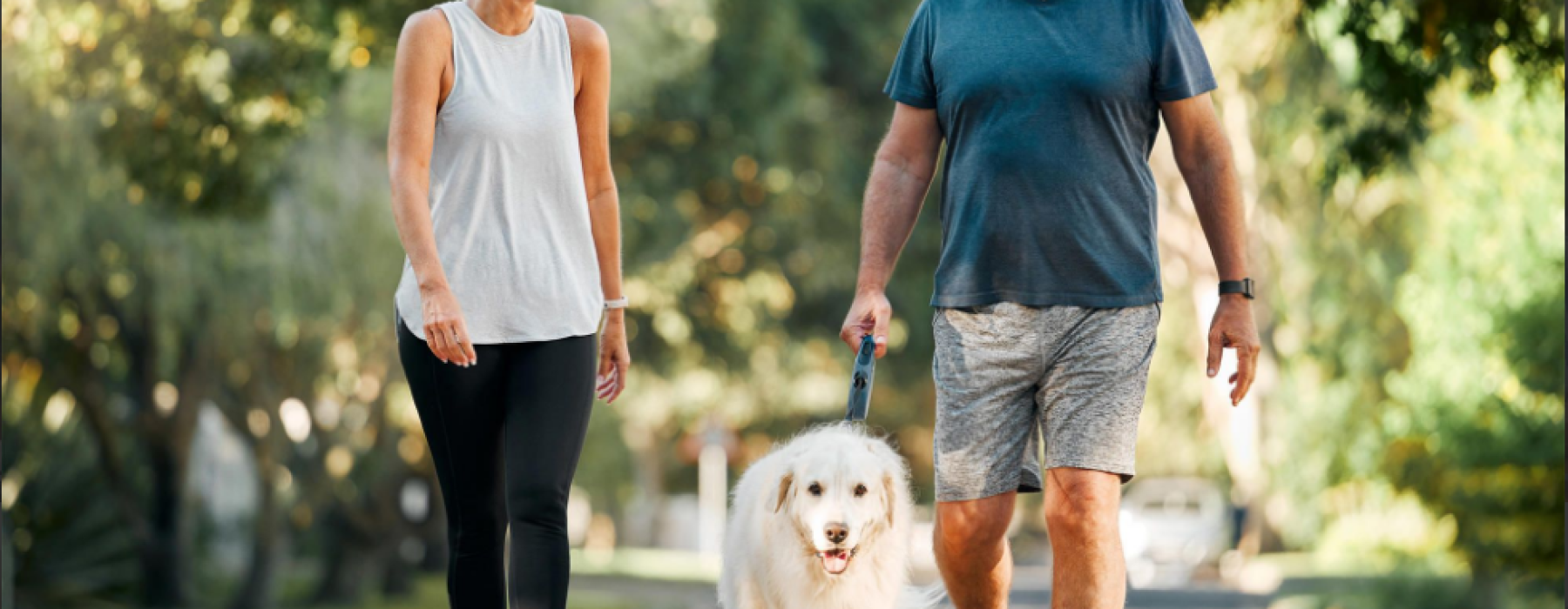 a family walking their dog