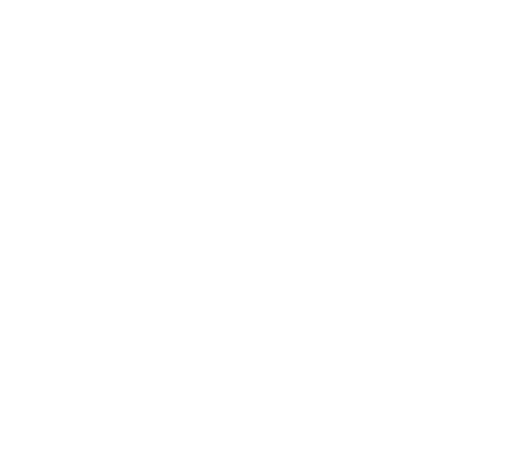 Boynton Tropical Logo